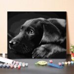 Fekete Labrador – számfestő készlet