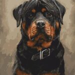 Rottweiler – számfestő készlet